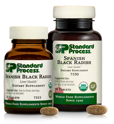 - Spanish Black Radish