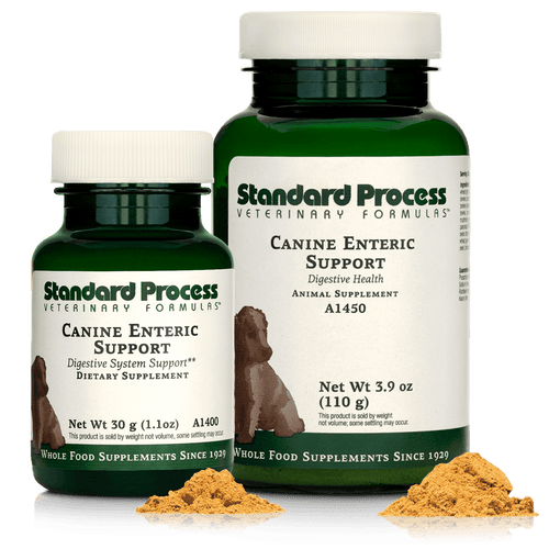 Canine Enteric Support