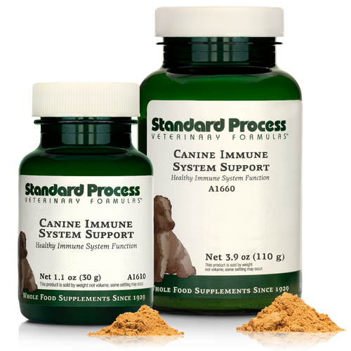 Canine Immune System Support