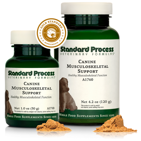 - Canine Musculoskeletal Support