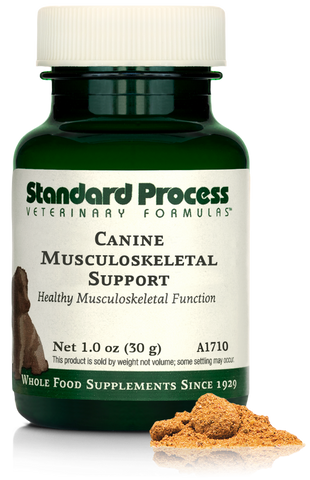 - A bottle of Canine Musculoskeletal Support, a powder supplement for dogs’ muscles, ligaments and bone health, next to an image of the powder supplement.