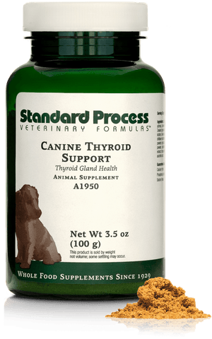 - Canine Thyroid Support, 100 g