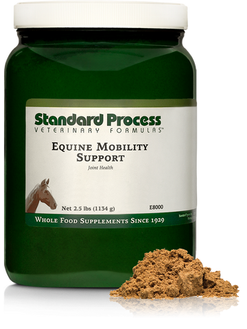 - Equine Mobility Support