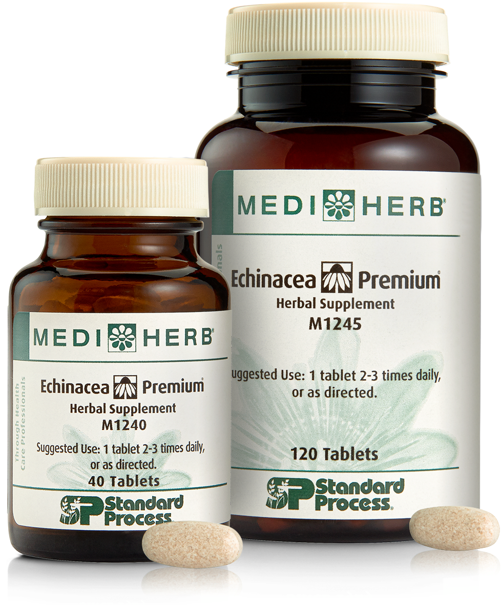 Echinacea Premium By Standard Process - SP & MediHerb Supplements ...