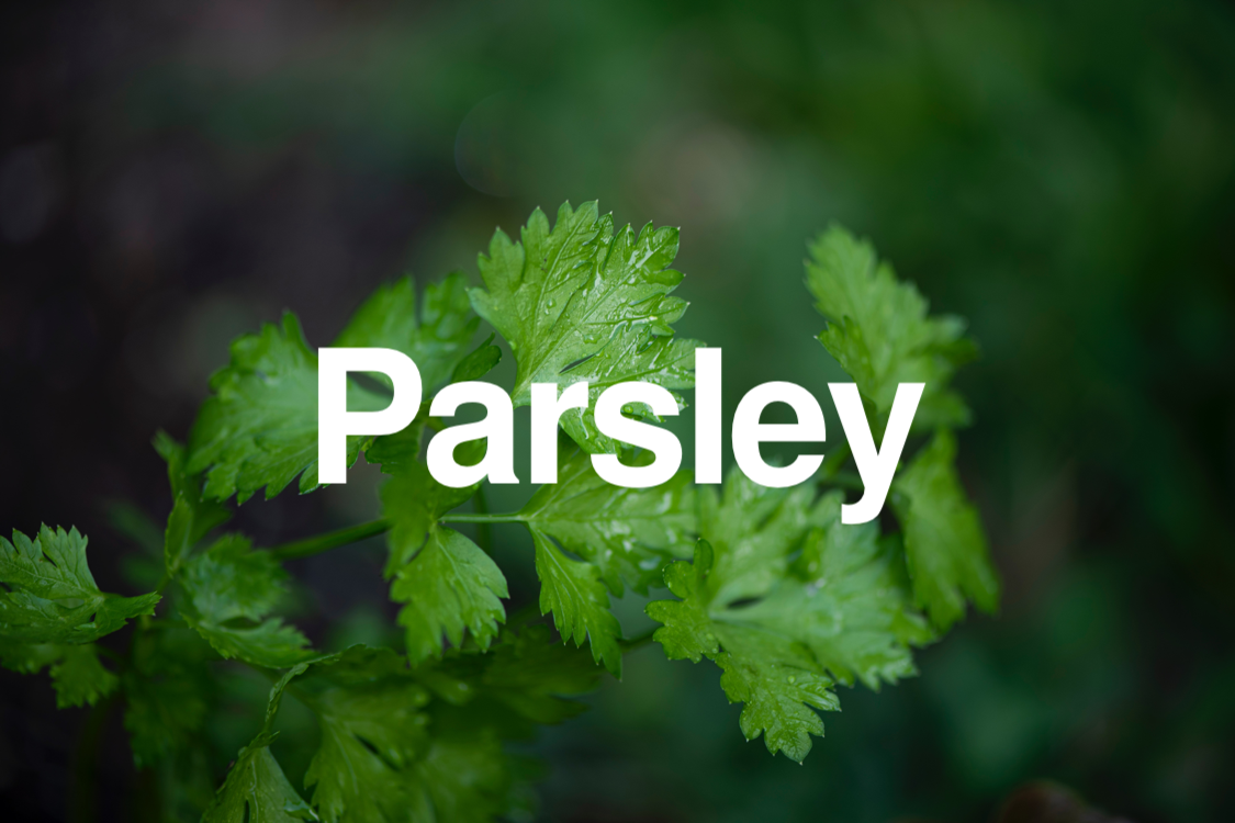 Parsley Wholefood Guru