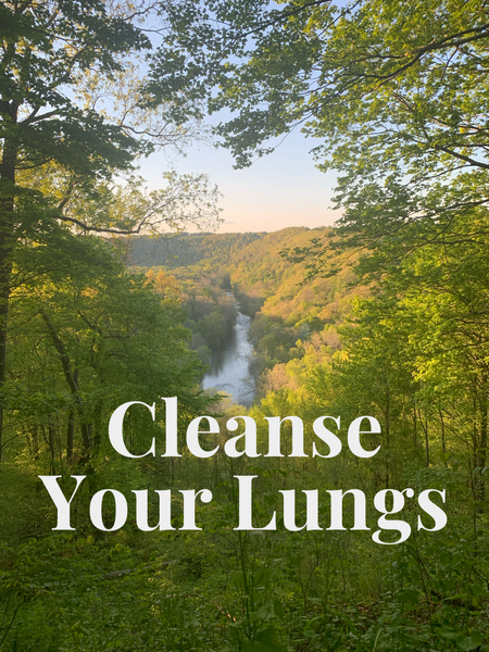 Cleanse Your Lungs