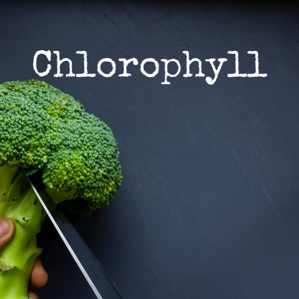 Chlorophyll