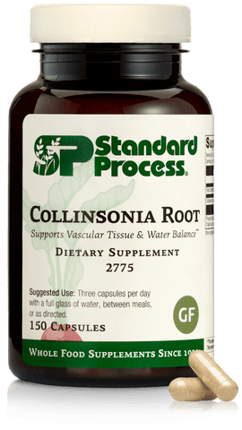  - Collinsonia Root