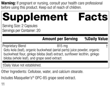 Load image into Gallery viewer, Ginkgo Synergy®, Rev 11 Supplement Facts