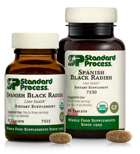 Spanish Black Radish