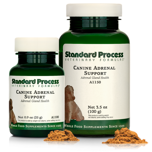 Canine Adrenal Support