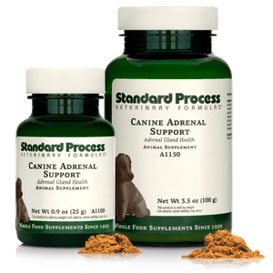 Canine Adrenal Support