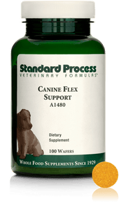 Canine Flex Support