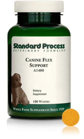  - Canine Flex Support