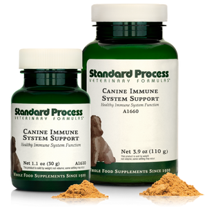 Canine Immune System Support