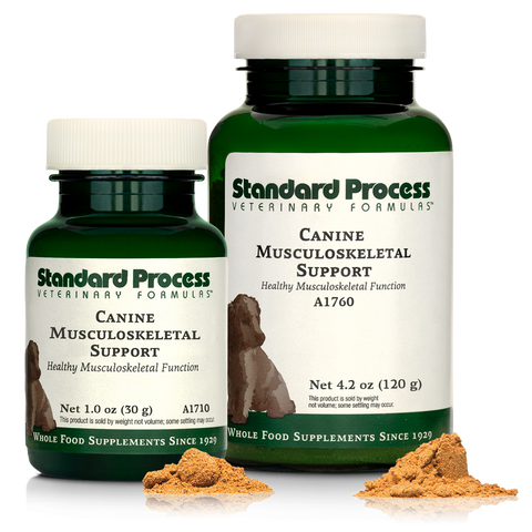  - Canine Musculoskeletal Support