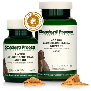 Canine Musculoskeletal Support