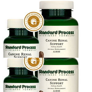 Canine Renal Support