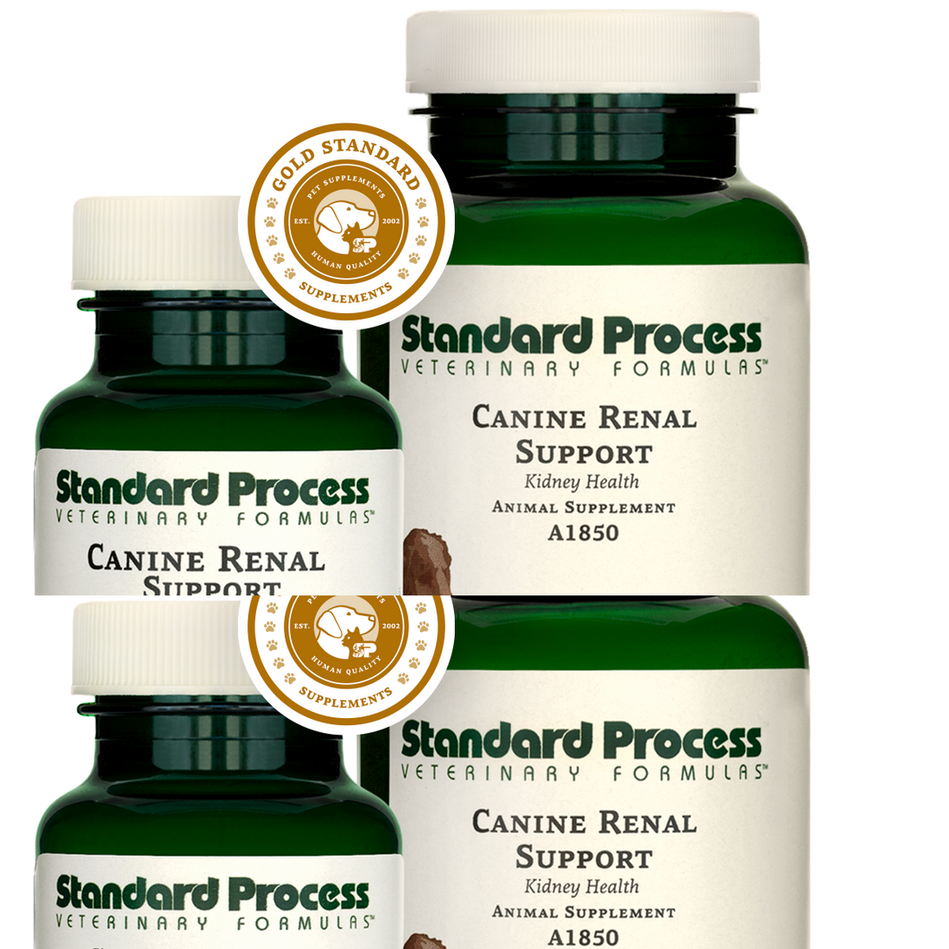 Canine Renal Support