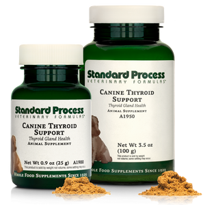 Canine Thyroid Support