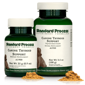 Canine Thyroid Support