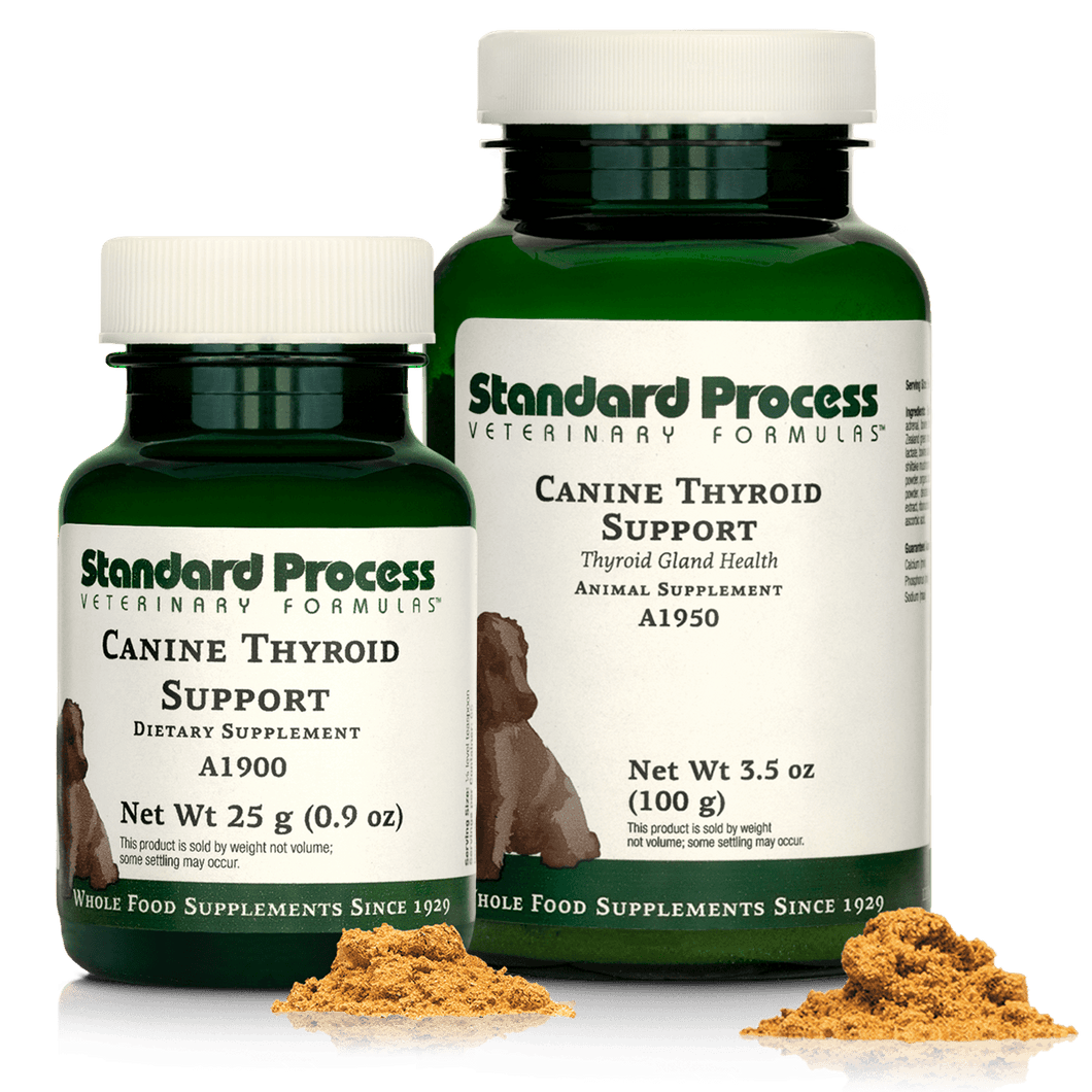 Canine Thyroid Support