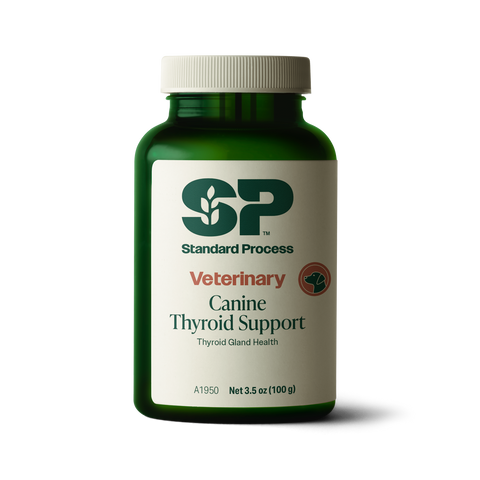  - Canine Thyroid Support, 100 g