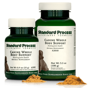 Canine Whole Body Support