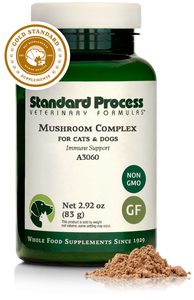Mushroom Complex