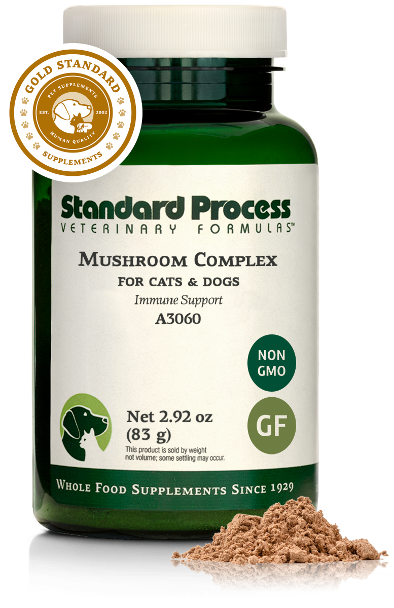Mushroom Complex