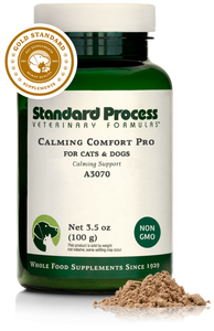 Calming Comfort Pro