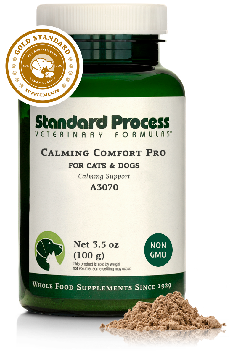 Calming Comfort Pro