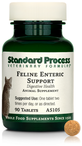 Feline Enteric Support