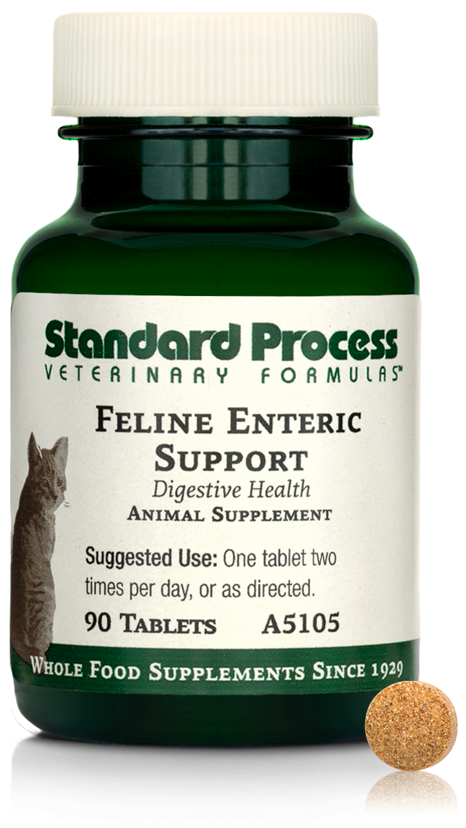 Feline Enteric Support