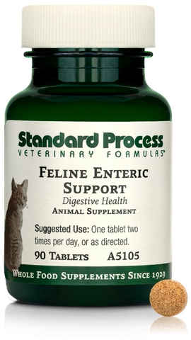  - Feline Enteric Support