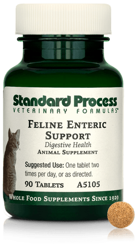  - Feline Enteric Support