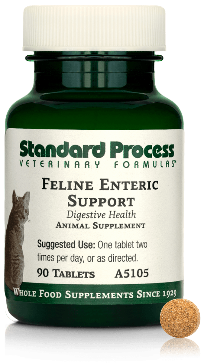 Feline Enteric Support