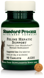 Feline Hepatic Support