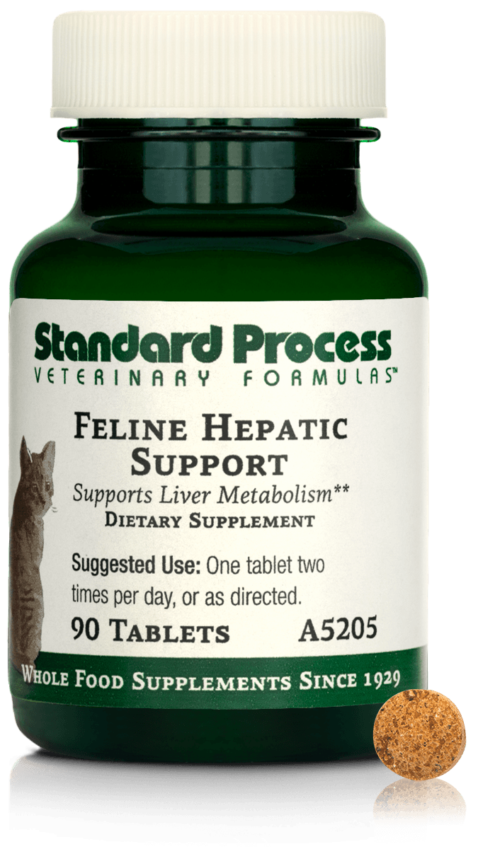 Feline Hepatic Support