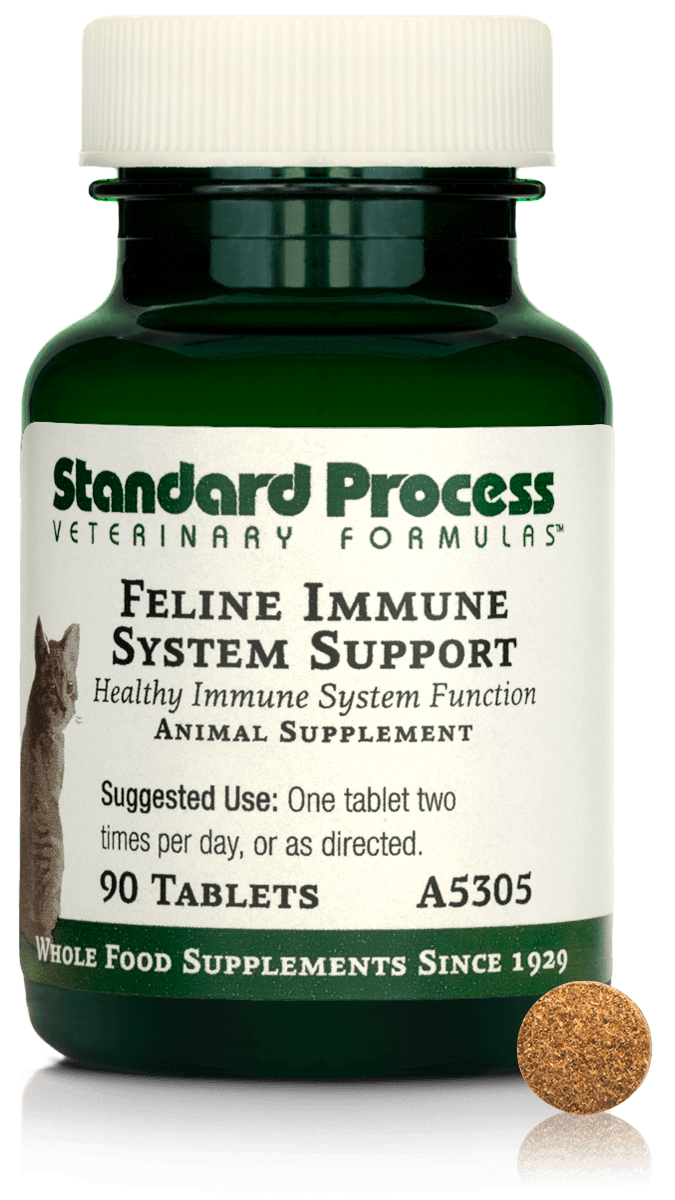 Feline Immune System Support