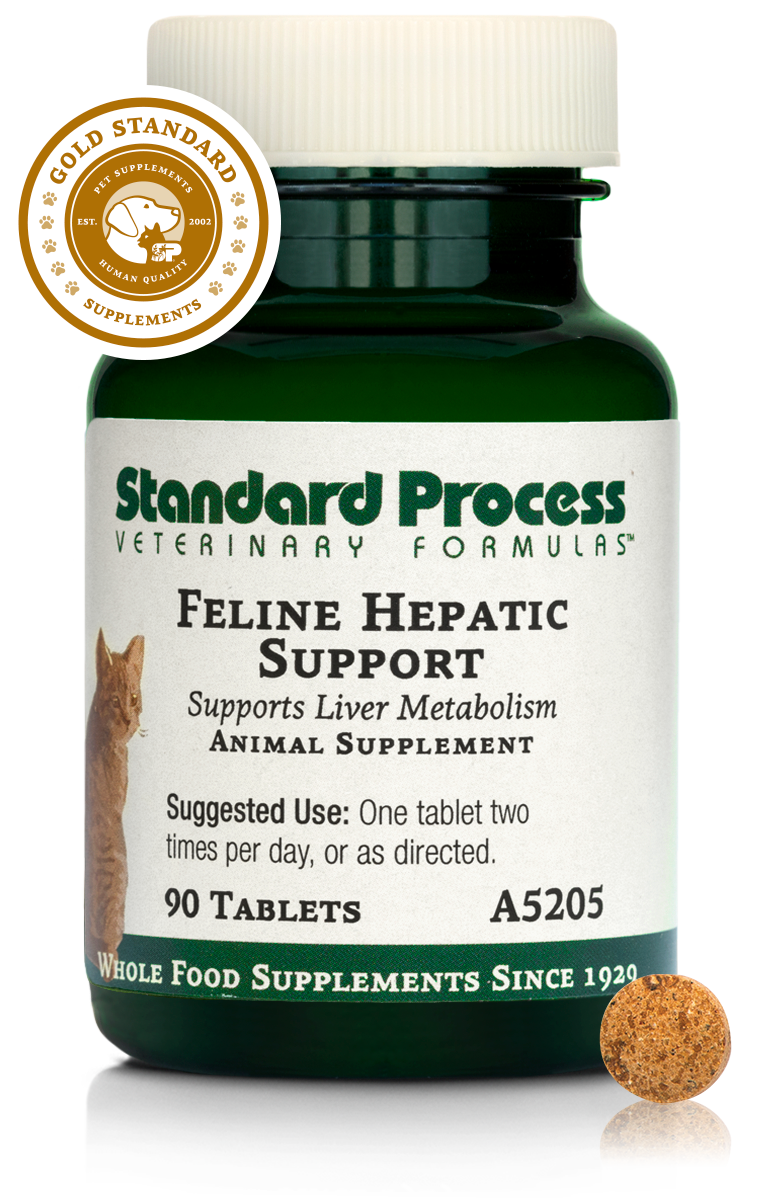 Feline Hepatic Support