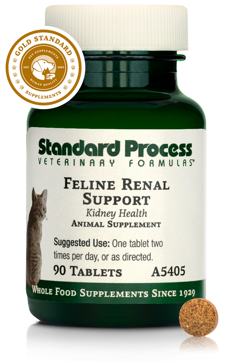 Feline Renal Support
