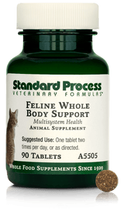 Feline Whole Body Support