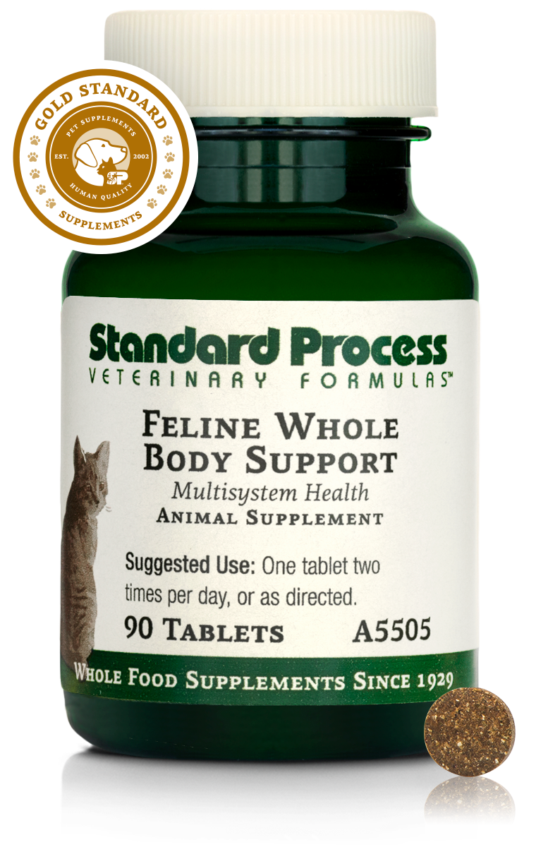Feline Whole Body Support
