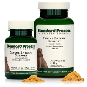 Canine Enteric Support