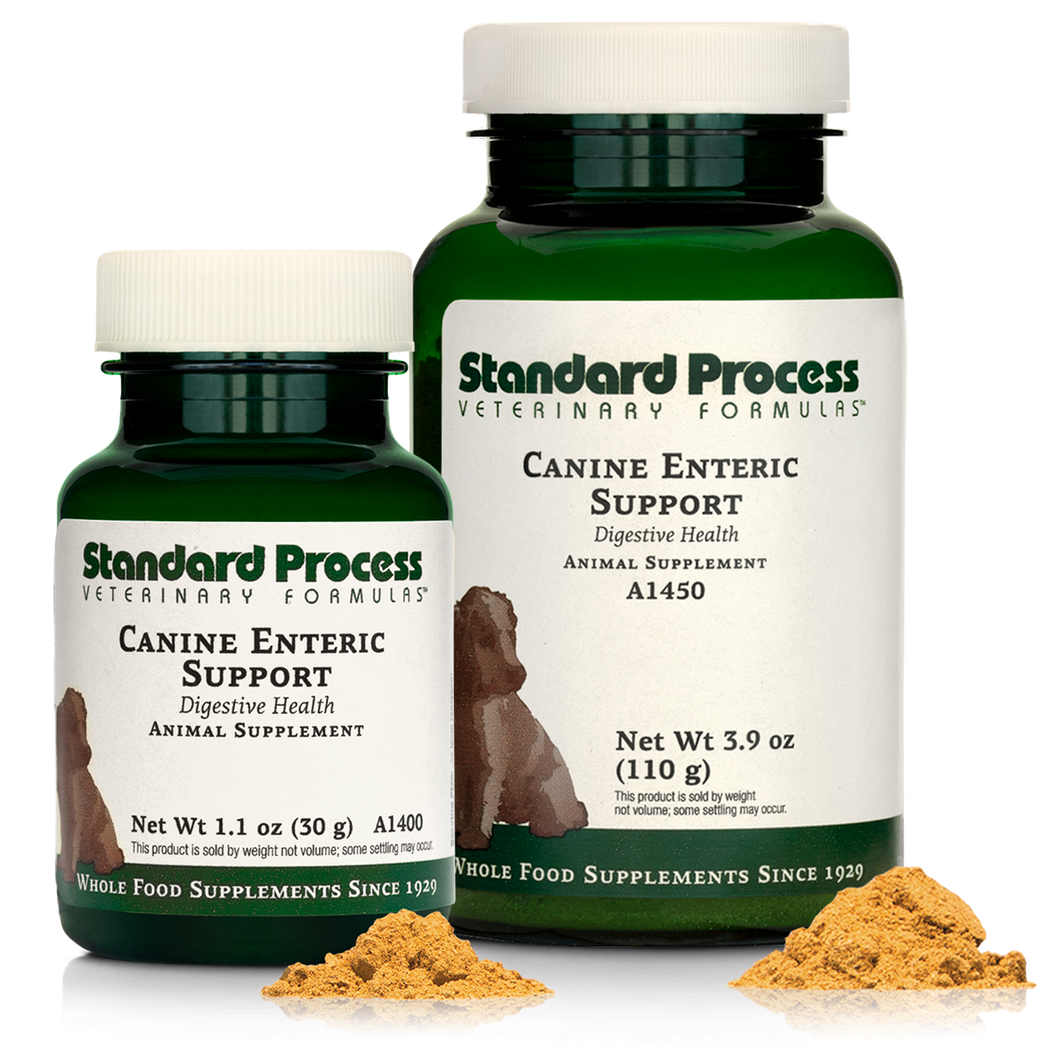 Canine Enteric Support