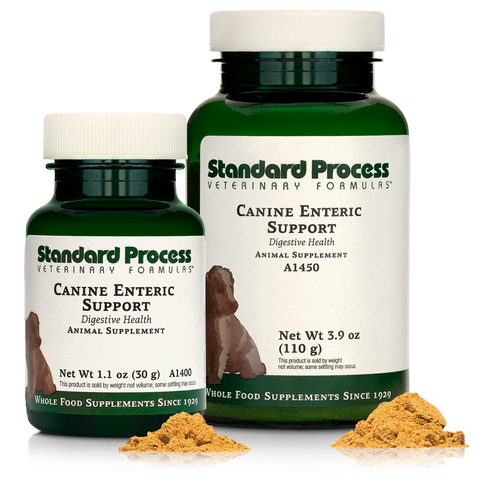  - Canine Enteric Support