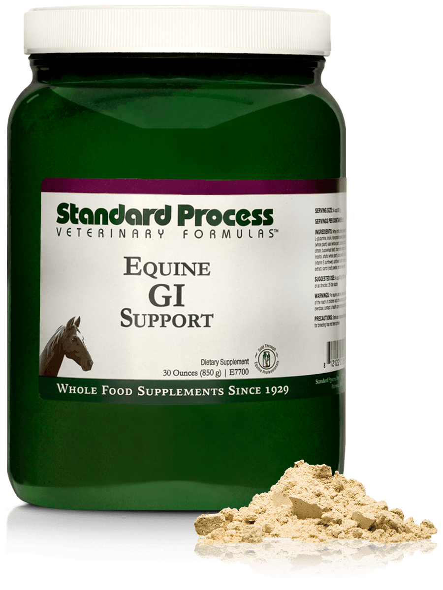 Equine GI Support