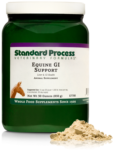 Equine GI Support