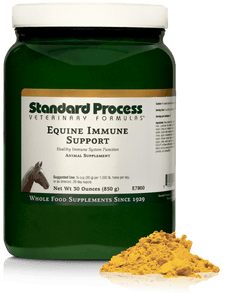 Equine Immune Support